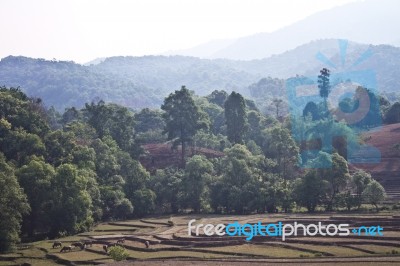 Thailand Landscapes Mountain Stock Photo