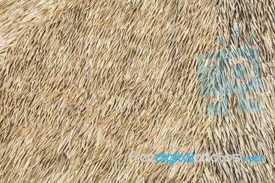 Thatch Background Stock Photo