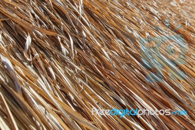 Thatched Stock Photo