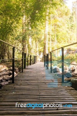 The Bamboo Bridge Through Nature In Forest Stock Photo