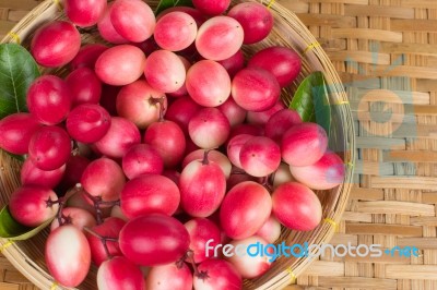 The Bengal-currants In Basket Stock Photo