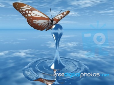 The Butterfly And The Drop Of Water Stock Image