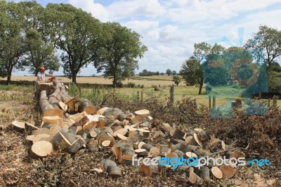 The Chainsaw Man Stock Photo