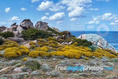 The Coastline At Capo Testa Sardinia Stock Photo