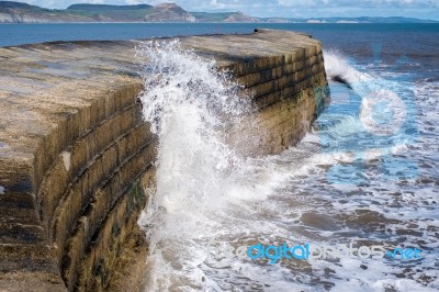 The Cobb Harbour Wall In Lyme Regis Stock Photo