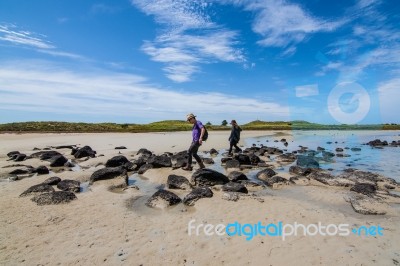 The Couple On Griffiths Island Stock Photo