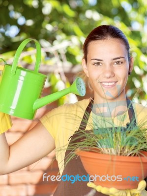 The Cultivation Of Plants In Pots Stock Photo