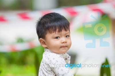 The Cute Boy In The Garden Stock Photo