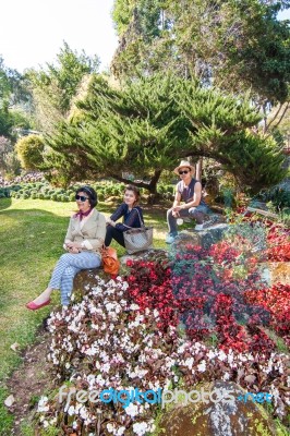 The Family Travels At The Royal Agricultural Station Inthanon Stock Photo