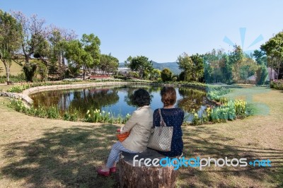 The Family Travels At The Royal Agricultural Station Inthanon Stock Photo