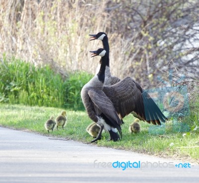 The Family Will Defend Itself Stock Photo