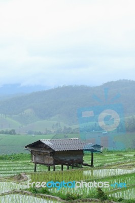 The Farmer's Hut Stock Photo