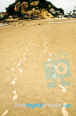 The Footprint Of People On The Sand Beach Stock Photo