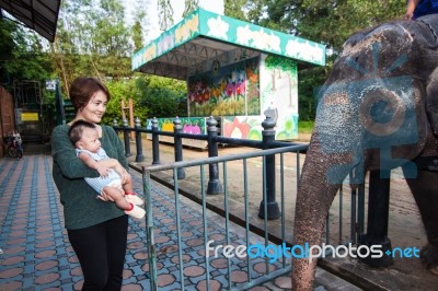 The Grandmother Holding The Grandson Stock Photo