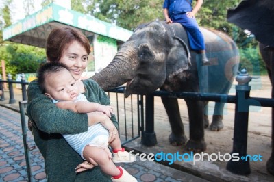 The Grandmother Holding The Grandson Stock Photo