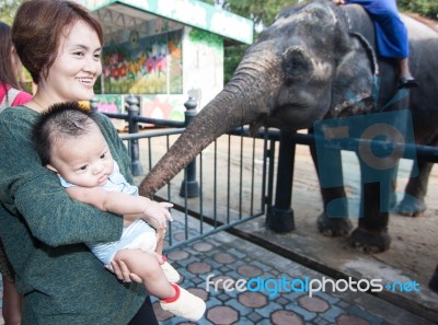 The Grandmother Holding The Grandson Stock Photo