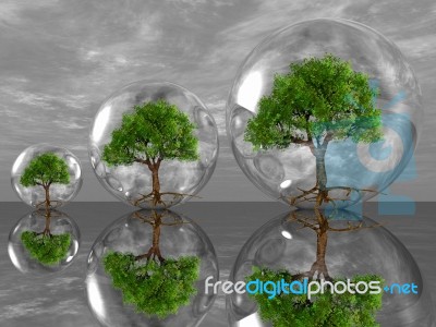 The Green Trees In Bubbles Stock Image