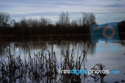 The Lake In The Autumn And The Cloudy Day Stock Photo