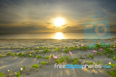 The Landscape Of The Beach Stock Photo