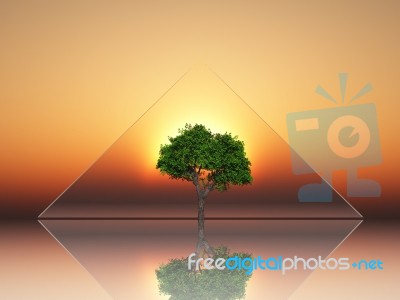 The Last Tree Stock Image