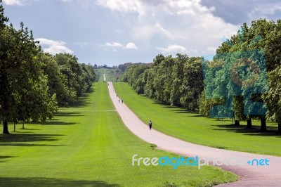 The Long Walk At Windsor Great Park Stock Photo