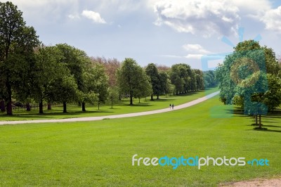 The Long Walk At Windsor Great Park Stock Photo