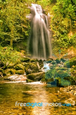 The Lost Waterfall Trail Near Boquete In Panama. Fall Number Thr… Stock Photo