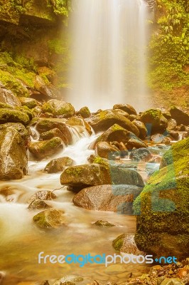 The Lost Waterfall Trail Near Boquete In Panama. Fall Number Thr… Stock Photo