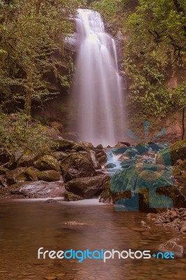 The Lost Waterfall Trail Near Boquete In Panama. Fall Number Thr… Stock Photo