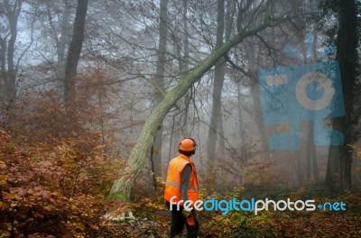 The Lumberjack Stock Photo