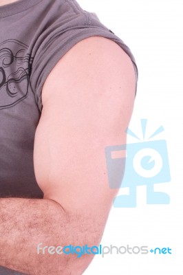 The Male Arm Stock Photo