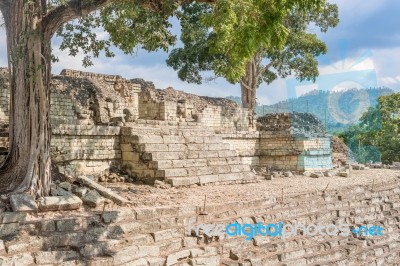 The Mayan Ruins In Copan Ruinas, Honduras Stock Photo