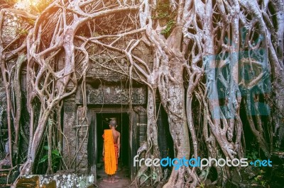 The Monks And Trees Growing Out Of Ta Prohm Temple, Angkor Wat In Cambodia Stock Photo