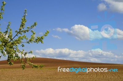 The Plowed Fields Stock Photo