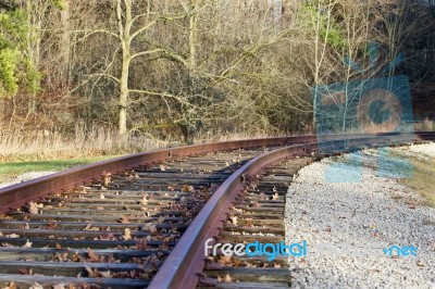 The Rail Road In The Forest Stock Photo