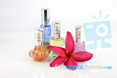 The Red Flowers And Orange,blue,green,violet Perfume Bottles Stock Photo