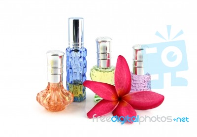 The Red Flowers And Orange,blue,green,violet Perfume Bottles Stock Photo