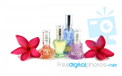 The Red Flowers And Orange,blue,green,violet Perfume Bottles Stock Photo