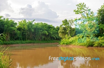 The River In Local City And Forest With Sunset Stock Photo