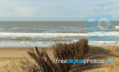 The Sea In Winter Stock Photo