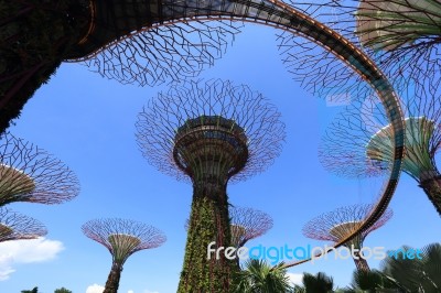 The Supertrees Grove At Gardens By The Bay Stock Photo