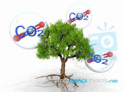 The Tree And Carbon Dioxide Stock Image