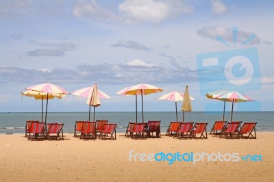 The Tropical Beach Stock Photo