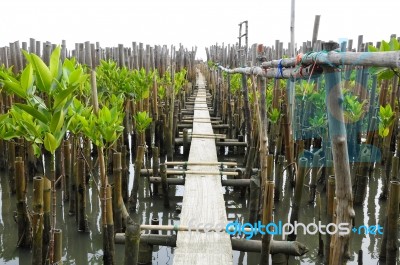 The Walkway Is Made Of Concrete Slabs Stock Photo