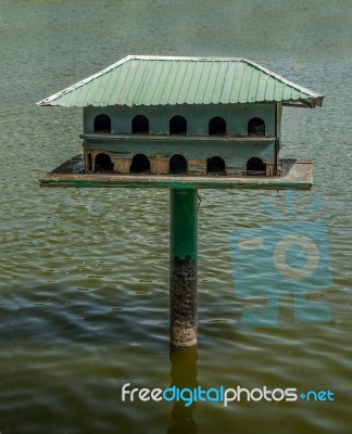 The Wooden Of Birdhouse Stock Photo