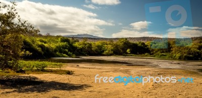 The Galapagos Stock Photo