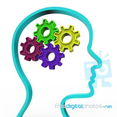 Think Brain Represents Reflect Consideration And Head Stock Image