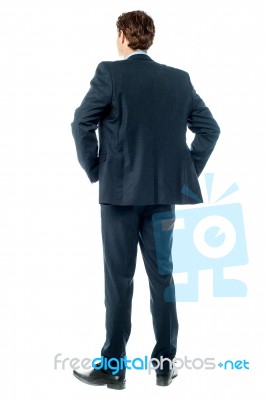 Thoughtful Businessman, Rear View Image Stock Photo