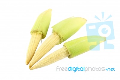 Three Baby Corns On White Background Stock Photo