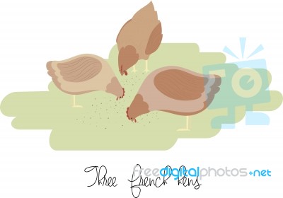 Three French Hens Stock Image